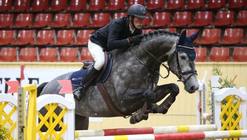Horses in training